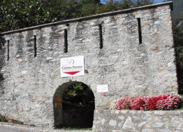 Cantina Pizzorin