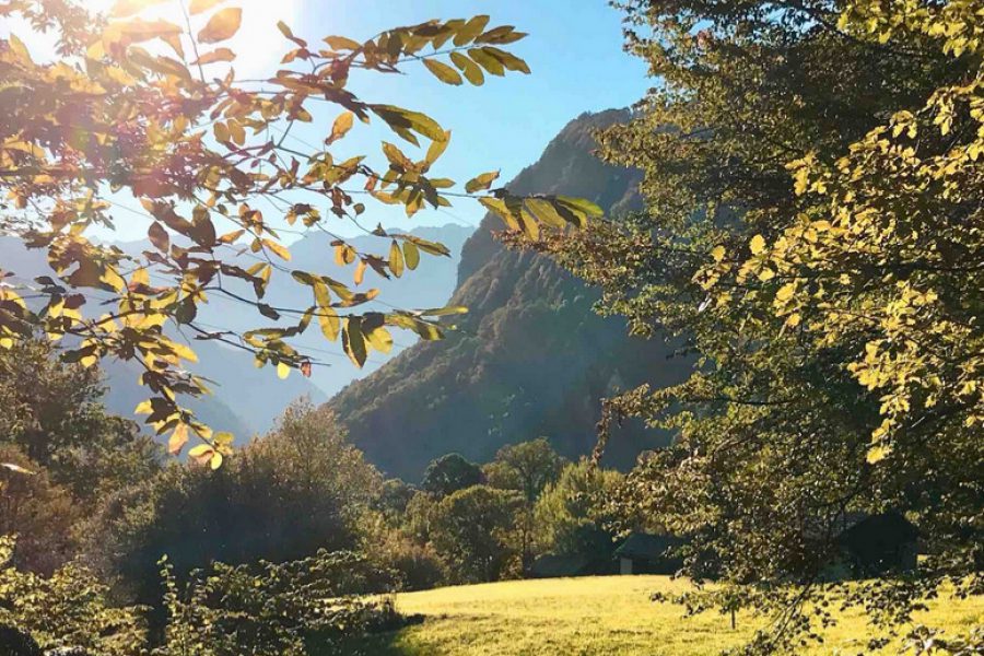 Dal 26 settembre al 24 ottobre – Festival della Castagna 2020