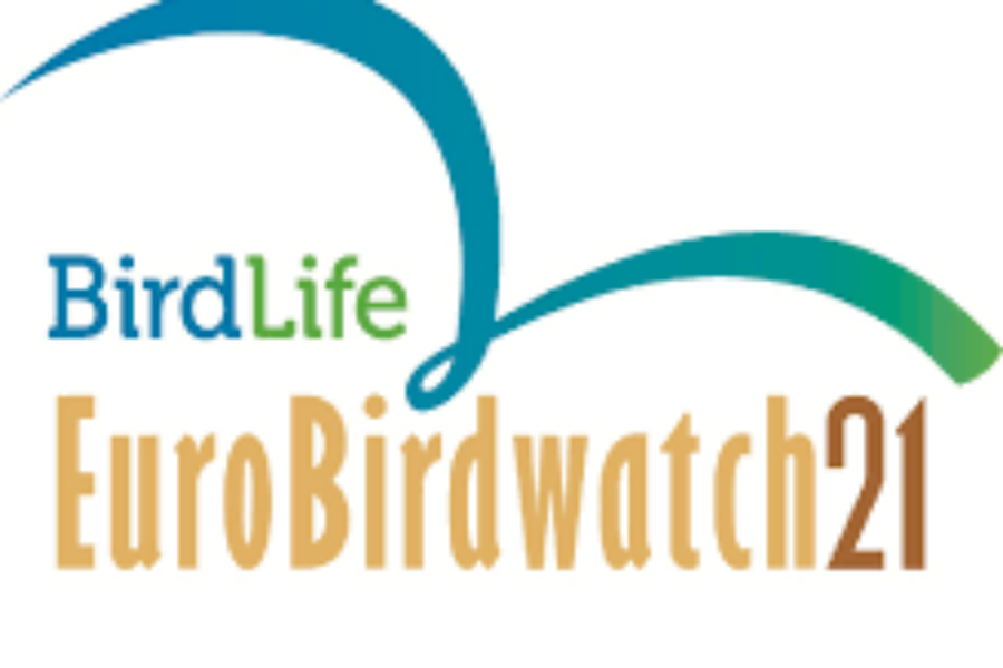 3.10.21 – EuroBirdWatch