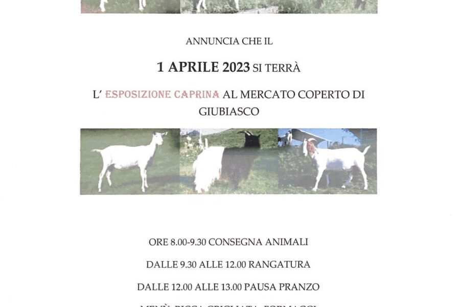 01.04.23 -esposizione caprina