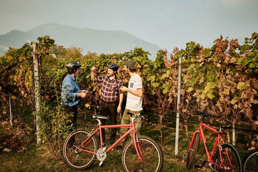 27 maggio Bike and Wine