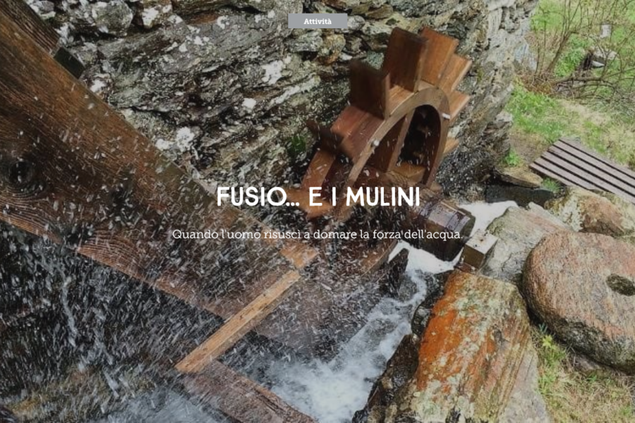15.08 – mulino, pesta e segheria in funzione, con macinazione di segale e vendita farina di segale
