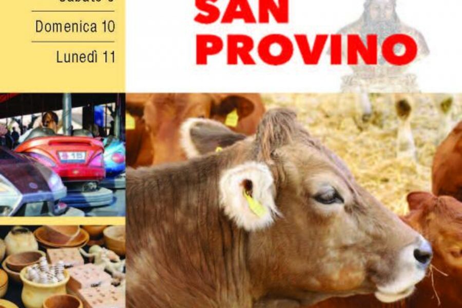 9, 10, 11 marzo – tradizionale Fiera di San Provino