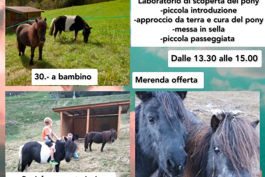 1°aprile – laboratorio per bambini alla scoperta dei pony