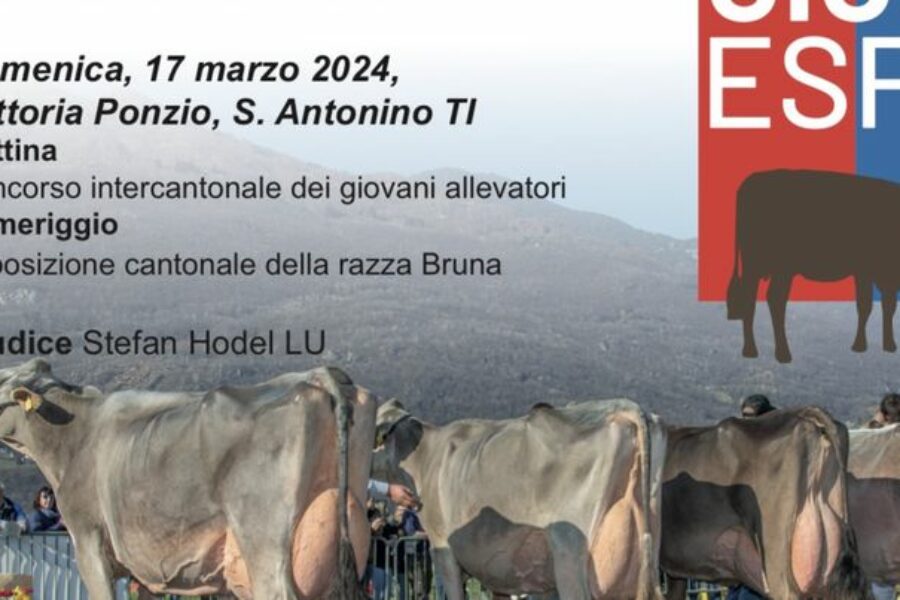 17.03.24 – Giubiexpo 2024 alla Fattoria Ponzio di S. antonino