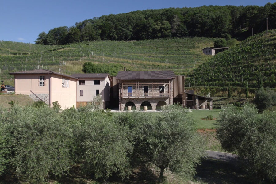 15 giugno – una visita della cantina ed una breve passeggiata panoramica nei vigneti