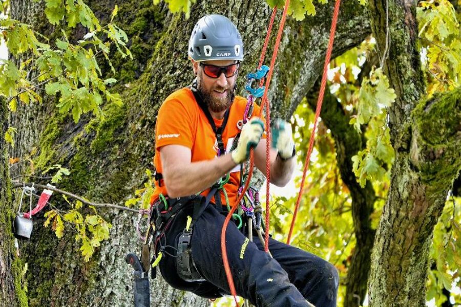 15 e 16 giugno – Campionato svizzero di Treeclimbing