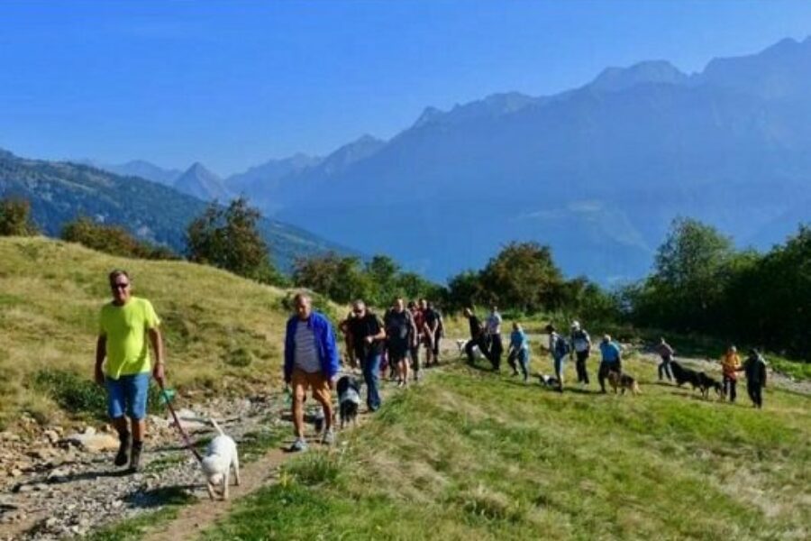 13 giugno –  Escursione “Di acqua e prodotti locali – seguendo il Brenno e visitando gli alpeggi”