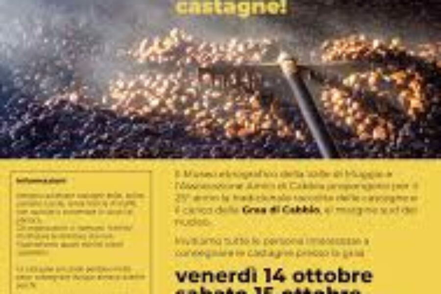 18-20 ottobre – consegna delle castagne per il carico della graa