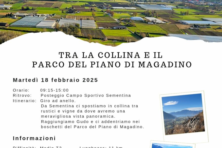 18.02.25 – escursione accompagnata tra la collina e il Parco del Piano di Magadino