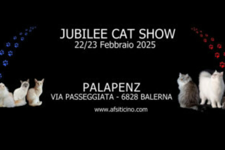 22.02. – Esposizione felina