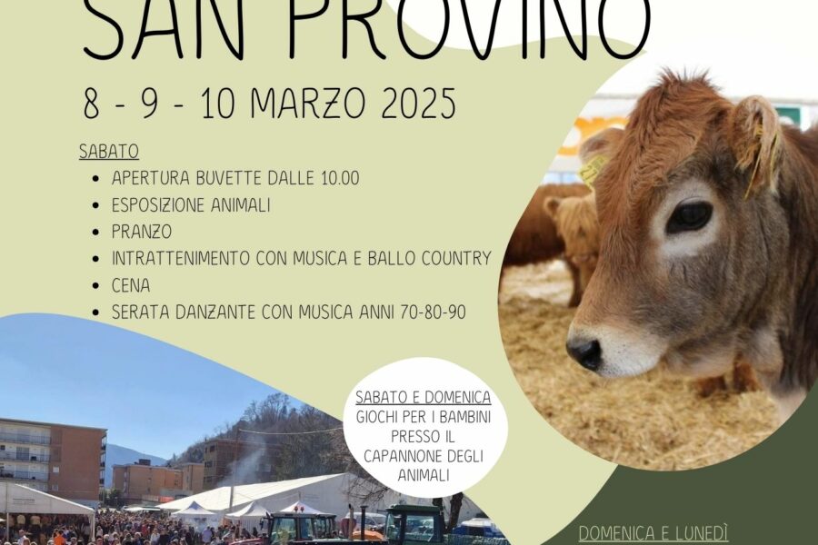 8 – 10.03 – Fiera San Provino