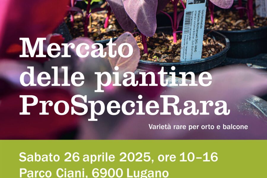 26.04 – Mercatino di piantinie di ProSpecieRara