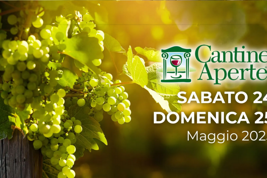 24-25.05 – Cantine Aperte nel Sottoceneri