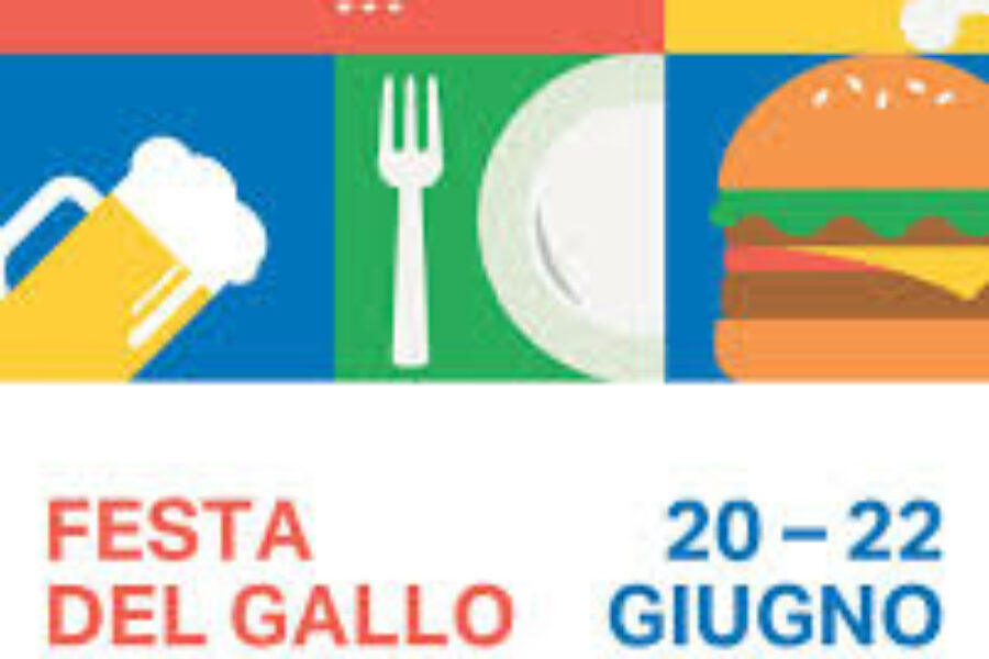 20-22-06 Festa del Gallo