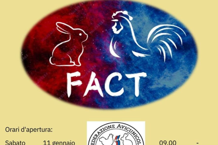 10 e 11.01 – Esposizione cantonale di conigli della Federazione avicunicola cantonale