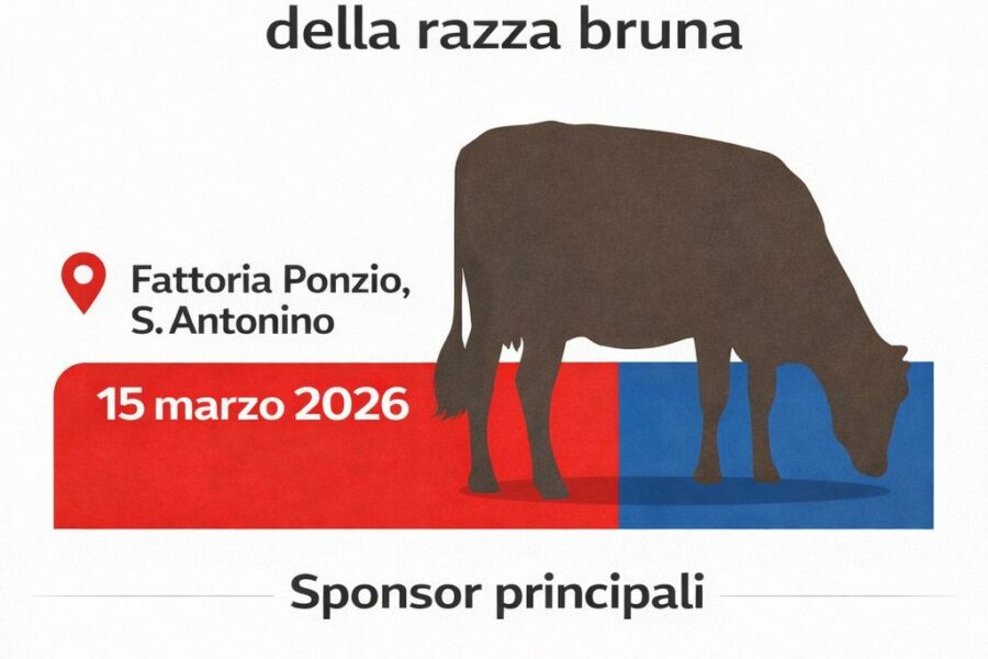 15.03 – Giubiexpo