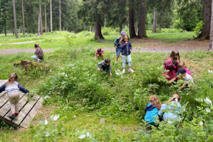 25.08 – Martedì in natura per bimbe e bimbi scuola dell’infanzia e l, ll elementare